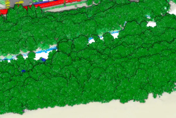 Vegetation